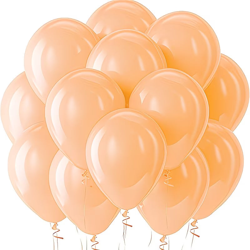 10 inch matt balloons - Pack of 25