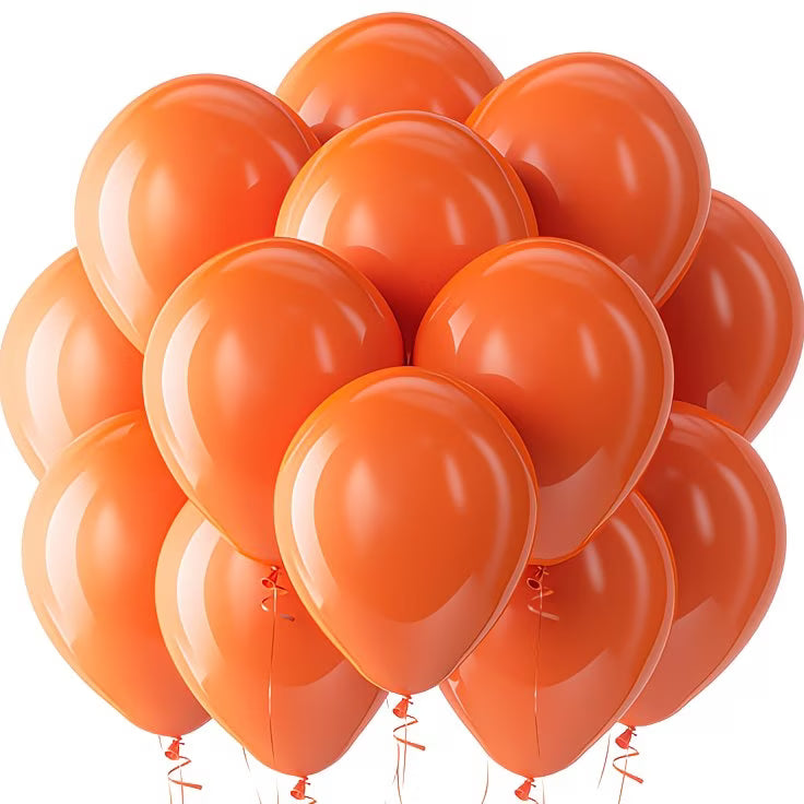 10 inch matt balloons - Pack of 25