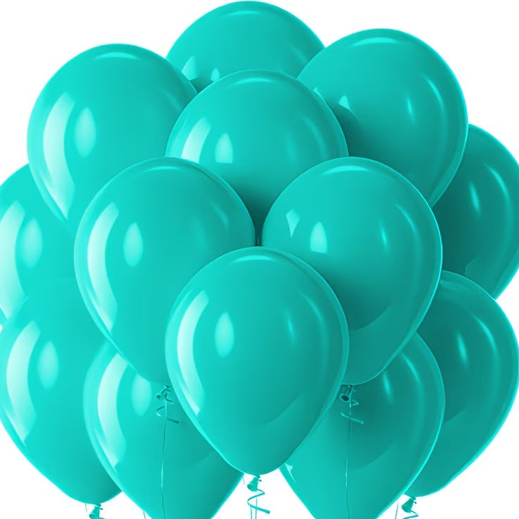 10 inch matt balloons - Pack of 25